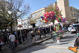 Santa Ninfa 19 11 2016 271.jpg